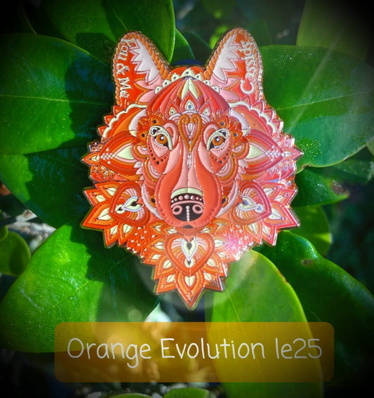 Cassidy - Orange Evolution le25