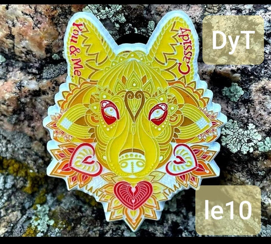 Cassidy - DyT le10